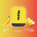 VOZOL D2 Disposable Kit Fruit Rock 300 x 300