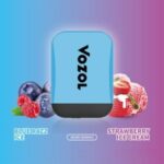 VOZOL D2 Disposable Kit Merry Berries 300 x 300