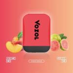 VOZOL D2 Disposable Kit Sunday Breeze 300 x 300