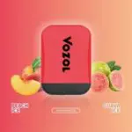 VOZOL D2 Disposable Kit Sunday Breeze 300 x 300