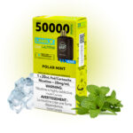 Polar Mint Pods Level X Ultra G2 by Flavour Beast