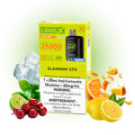 Slammin' STS Iced Pods Level X G2  by Flavour Beast Boost
