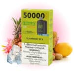 Slammin STS Ice Pods Level X G2 Ultra by Flavour Beast