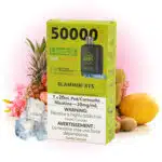 Slammin STS Ice Pods Level X G2 Ultra by Flavour Beast