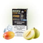 Hip Honeydew Mango Ice Pods Level X G2 by Flavour Beast Boost