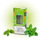 Mentha Spicata Linvo Cubo 10000 Disposable Vape