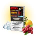 Ragin' Razz Mango Iced Pods Level X G2 by Flavour Beast Boost