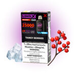 Tangy Berries Ice Pods Level X G2 by Flavour Beast Boost