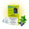 blssdblbrrmnt lvlxg2bst 4282025122pct Blessed Blueberry Mint Iced Pods Level X G2 by Flavour Beast Boost