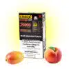 mdmngpch lvlxpdbst 1052025358pct Mad Mango Peach Pods Level X G2 by Flavour Beast Boost
